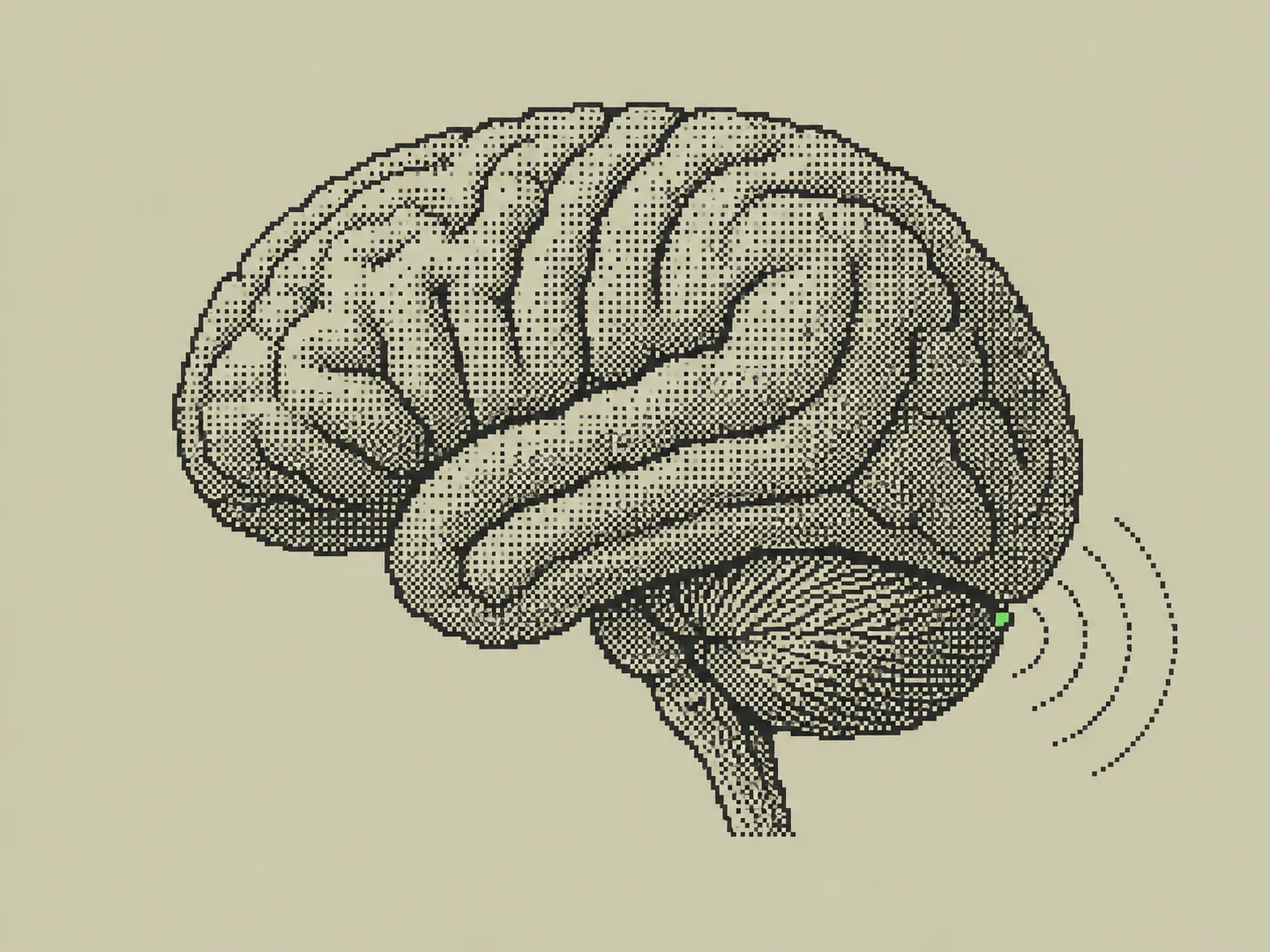 One-bit brain control map inside a Hypercalm LCD display
